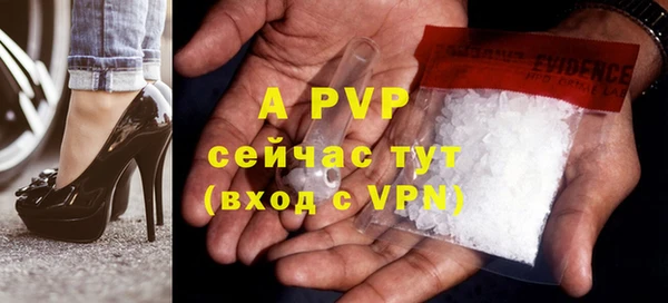 хмурый Корсаков