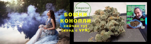 индика Коряжма