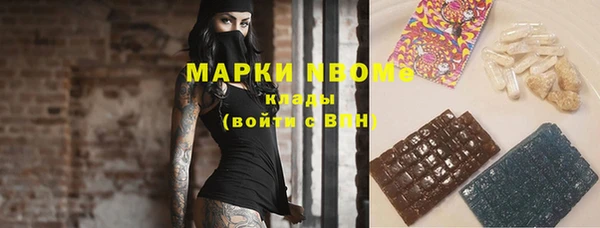 индика Коряжма
