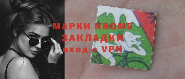 индика Коряжма