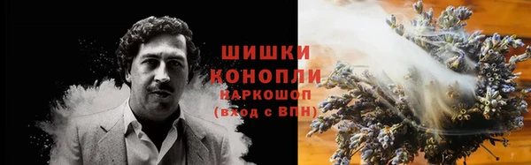 индика Коряжма