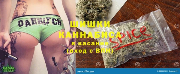 хмурый Корсаков
