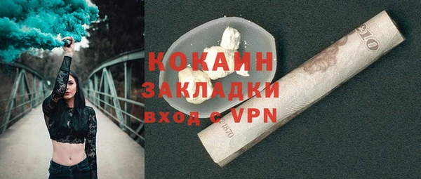 индика Коряжма