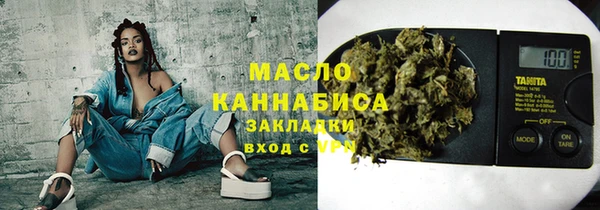 индика Коряжма