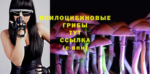бутират Костерёво