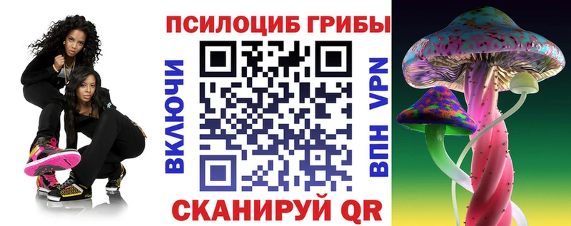 Купить  Асбест  Псилоцибиновые грибы Magic Shrooms 